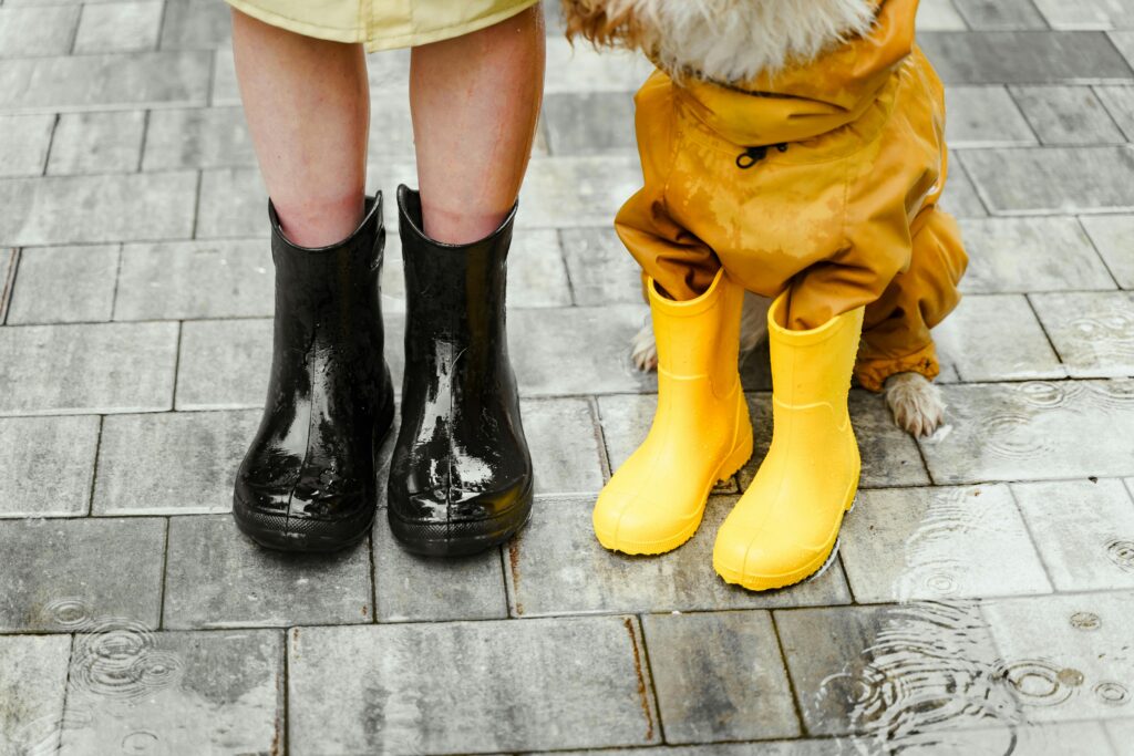 Kids Waterproof Shoes